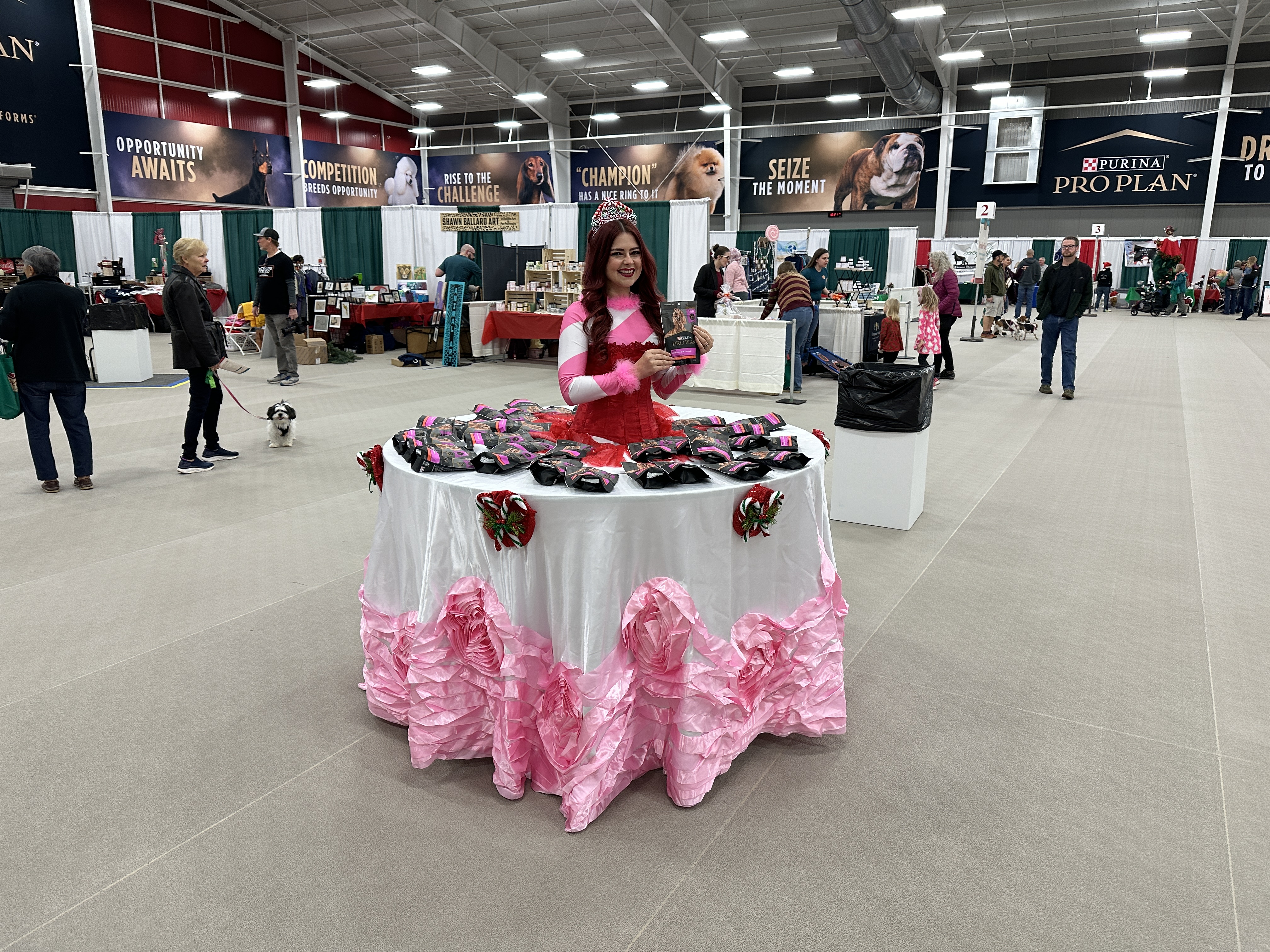 Holiday princess strolling table pink white and red